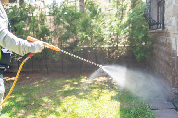 Best Local Pest Control Services  in Port Edwards, WI