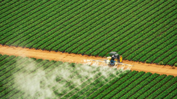 Best Pest Prevention Services  in Port Edwards, WI
