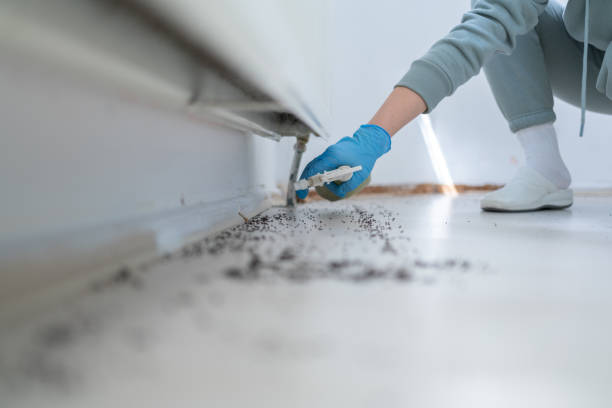 Best Residential Pest Control  in Port Edwards, WI